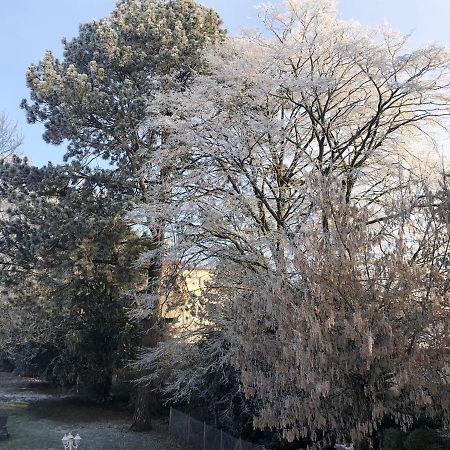 Le Jardin De Fresnes Bed & Breakfast Exterior photo
